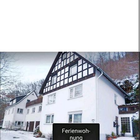 4 Erw. 1 Ki. Ski Entspannung Terasse Ausblick Schmallenberg Dış mekan fotoğraf