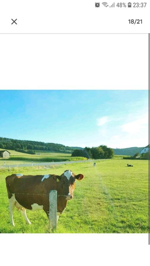 4 Erw. 1 Ki. Ski Entspannung Terasse Ausblick Schmallenberg Dış mekan fotoğraf